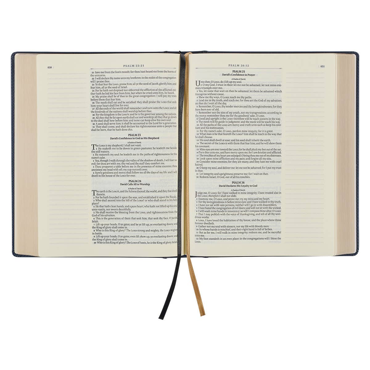 KJV Note-taking Bible LP Faux Leather HC, Navy w/Gold Floral